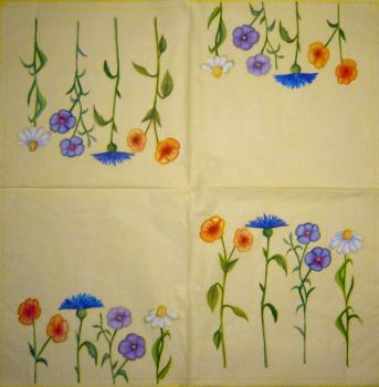 034 Daisies - 3-ply - Paw